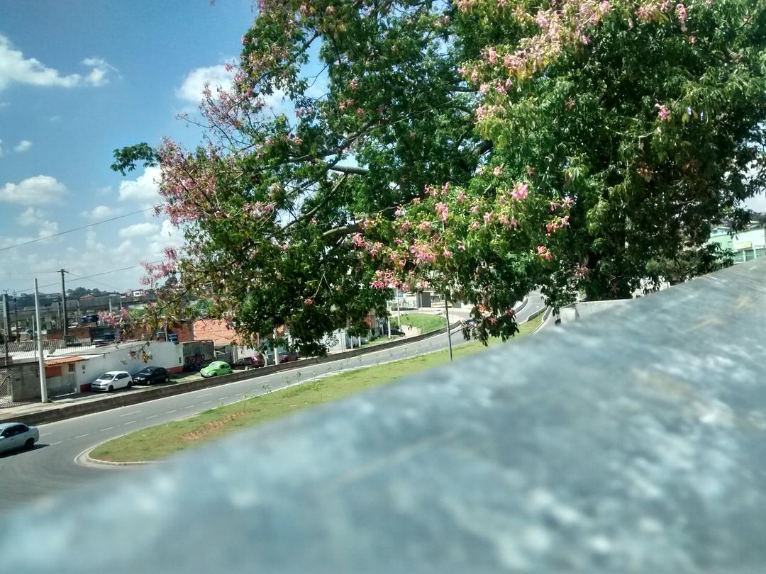 PRÊMIO TECMUNDO - ALEF ANDREY #4
