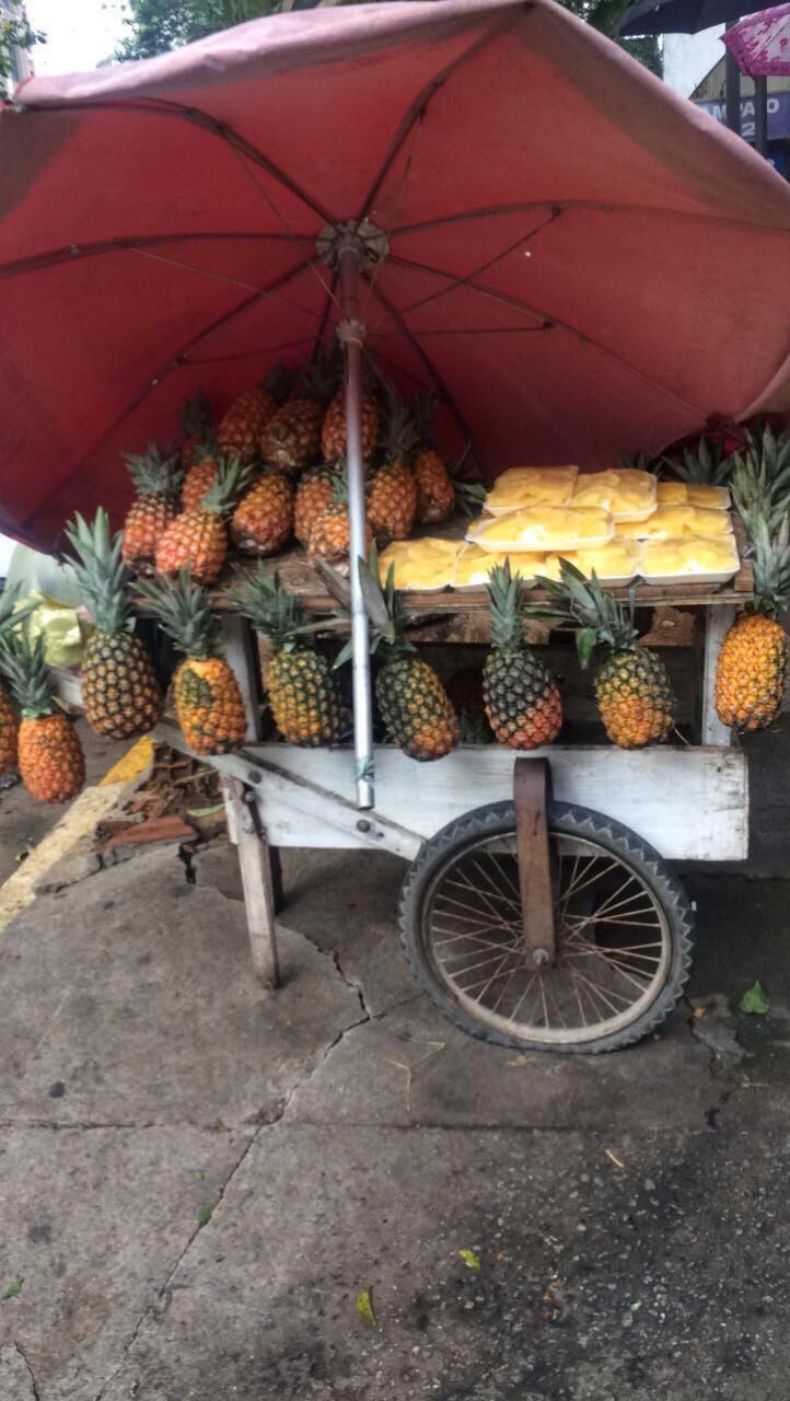 Prêmio TecMundo - Pamella Regina D'Ornellas