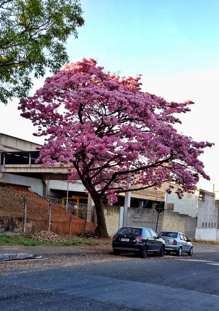 Prêmio TecMundo - João Fahl Junior