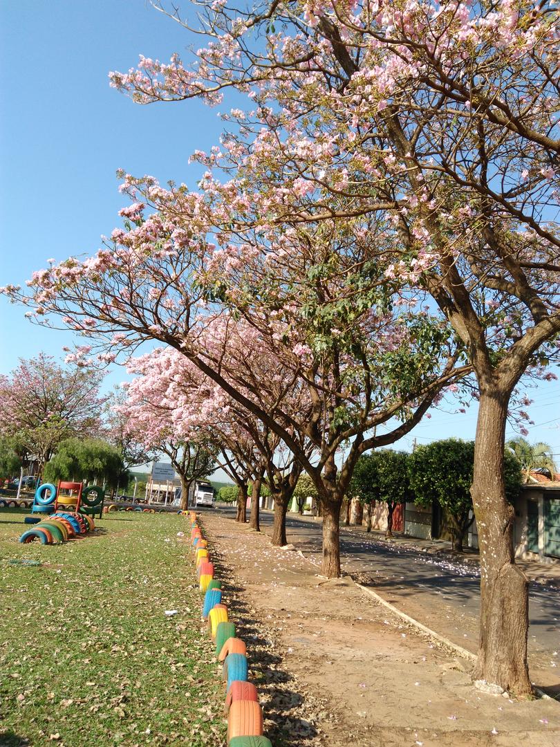 Prêmio TecMundo - Luan Prais
